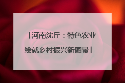 河南沈丘：特色农业绘就乡村振兴新图景